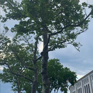 Meet your Posher, Georgena